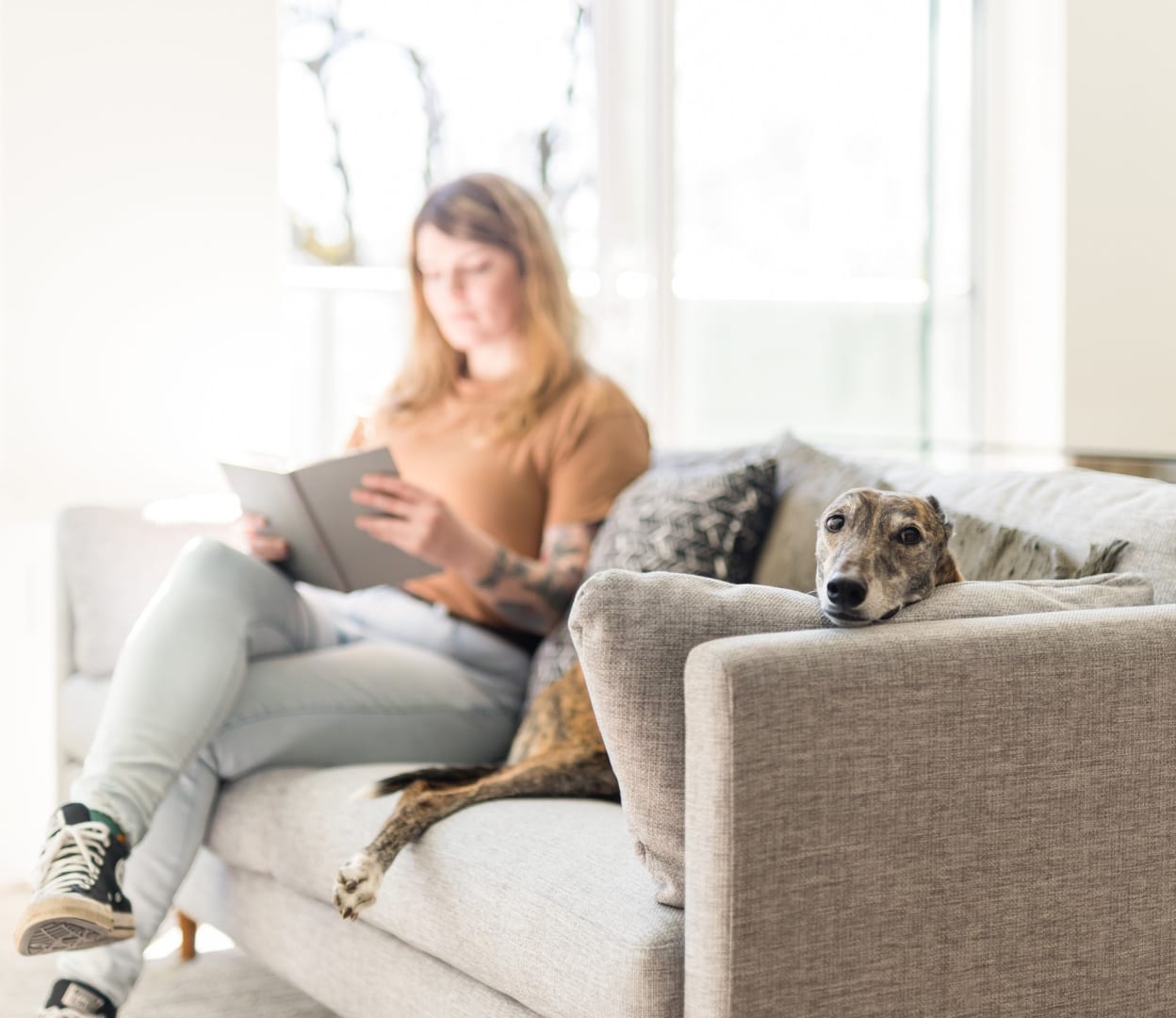 Woman and dog on couch